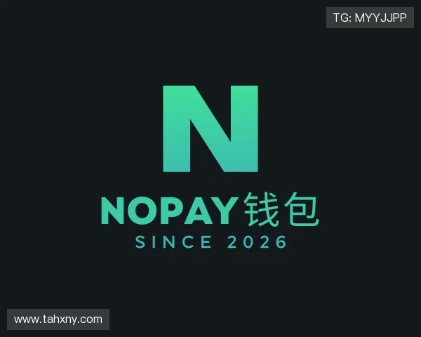 了解NOPAY钱包